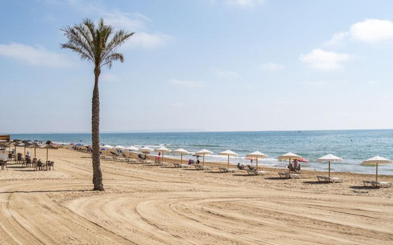 Obra Nueva - Apartamento - Guardamar del Segura - Pueblo