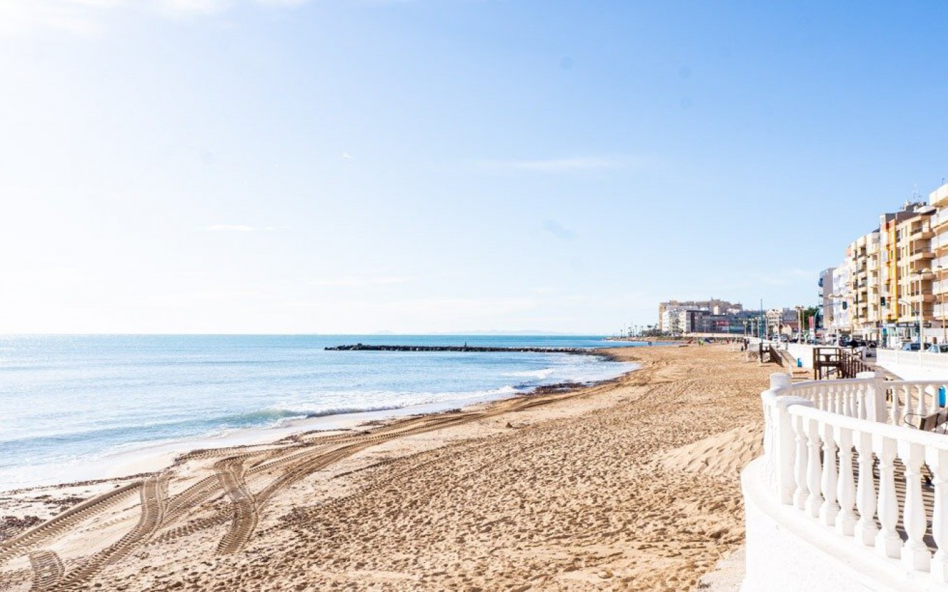 Obra Nueva - Apartamento - Torrevieja - Lago jardin