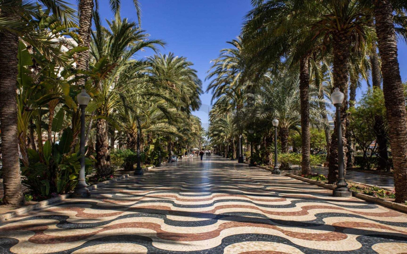 Obra Nueva - Atico - Alicante - Centro