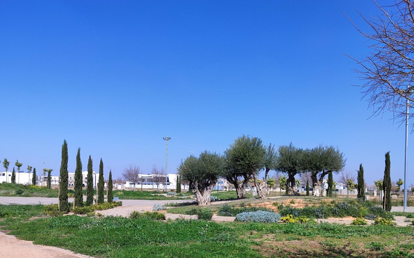 Obra Nueva - Atico - Torre Pacheco - Centro