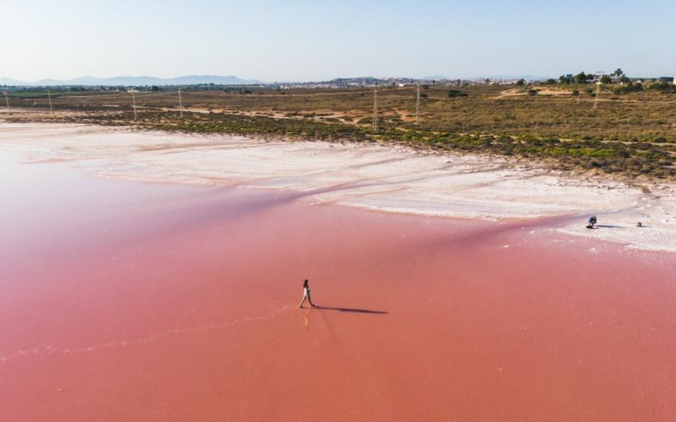 Obra Nueva - Atico - Torrevieja - Habaneras