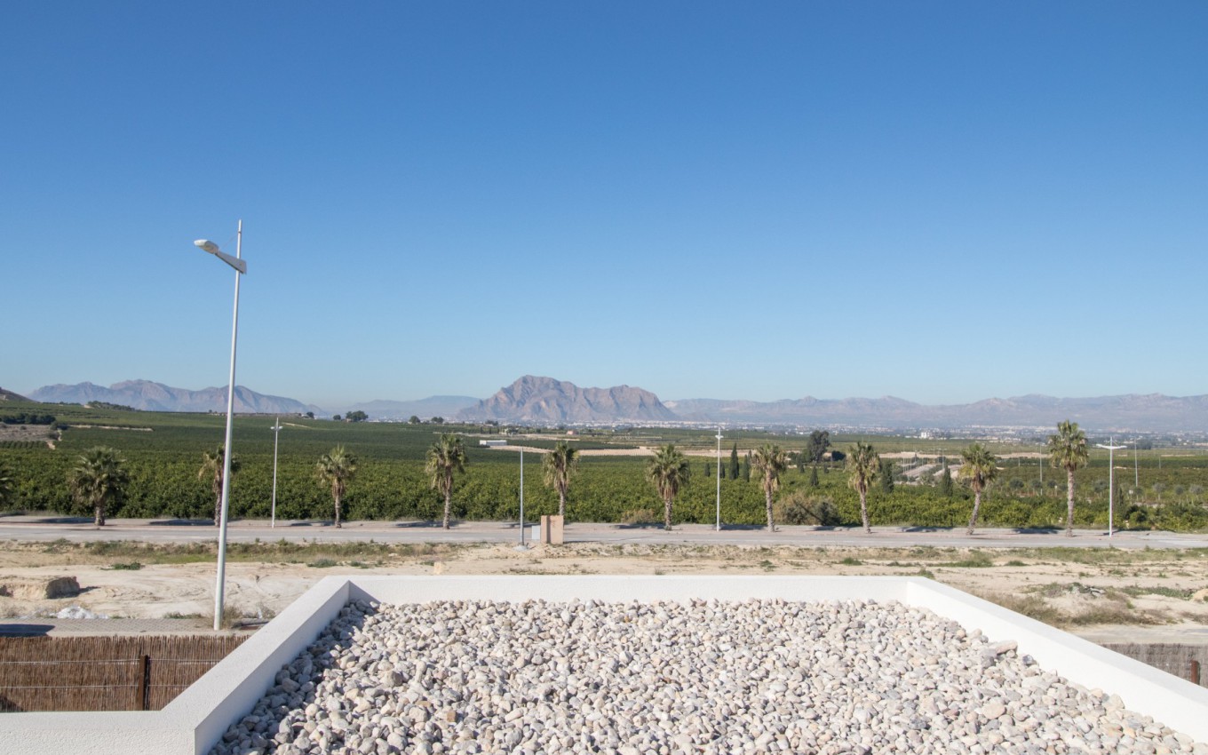 Obra Nueva - Villa - Algorfa - La Finca