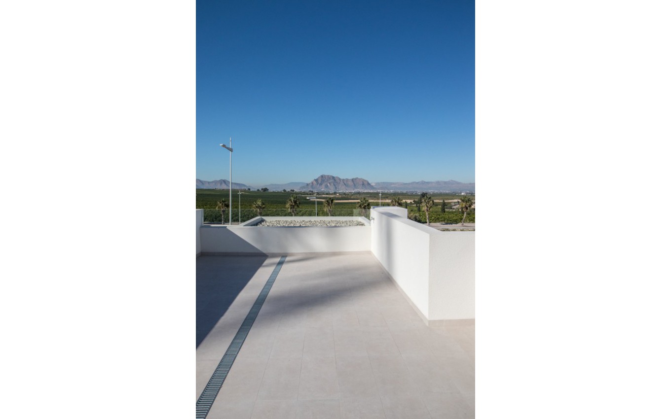 Obra Nueva - Villa - Algorfa - La Finca
