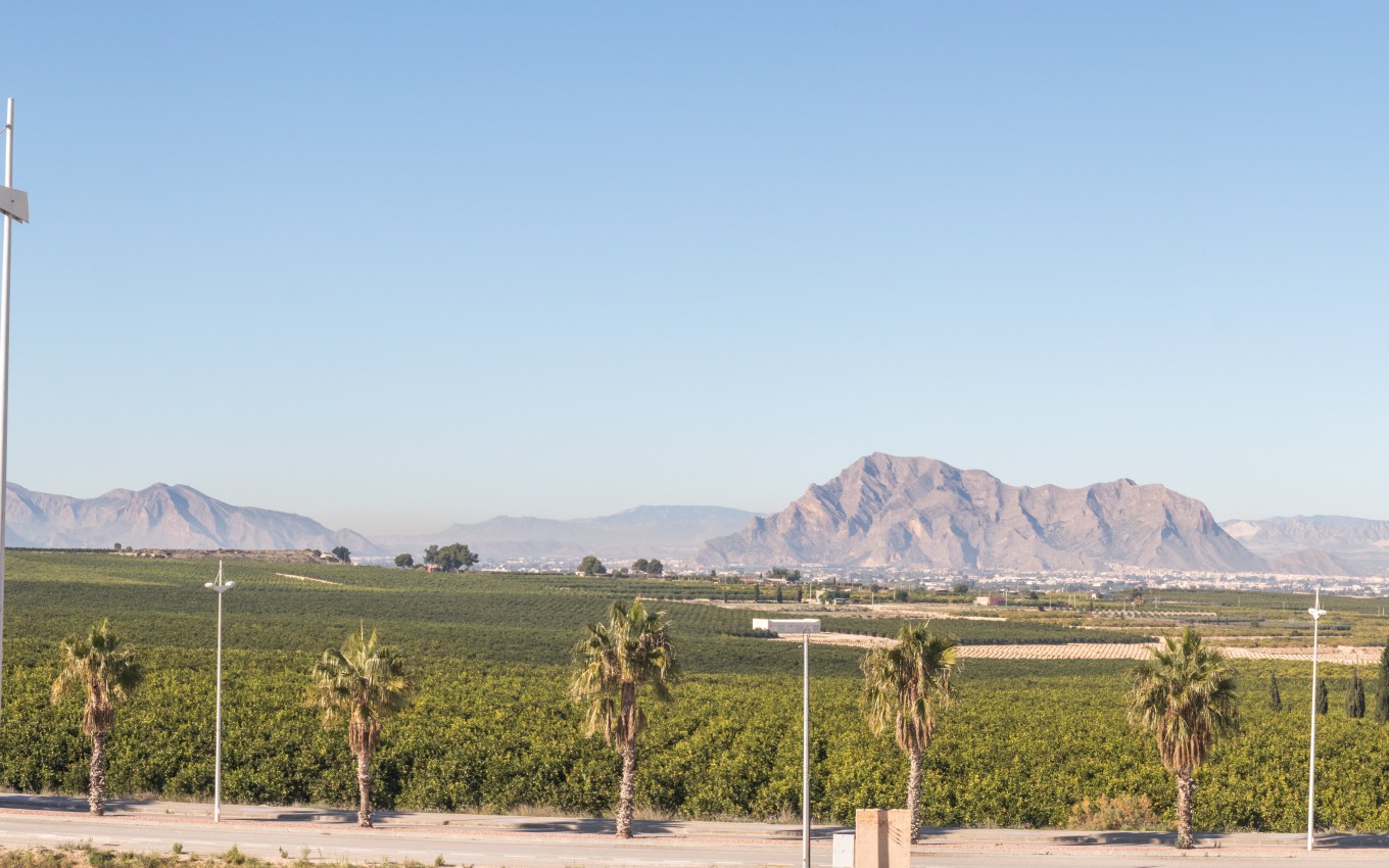 Obra Nueva - Villa - Algorfa - La Finca