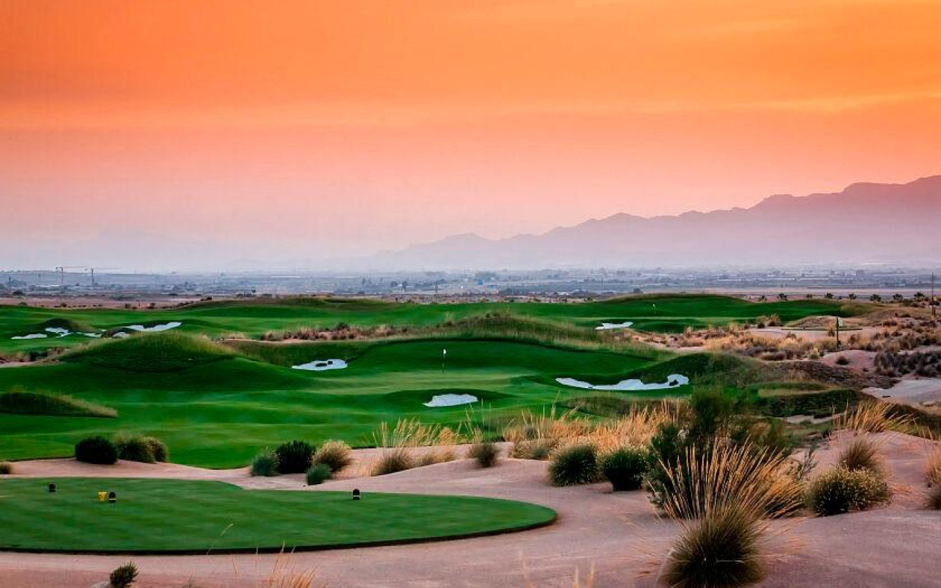 Obra Nueva - Villa - Alhama de Murcia - Condado de Alhama