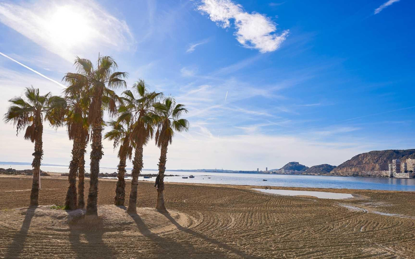 Obra Nueva - Villa - Els Poblets - Partida Barranquets