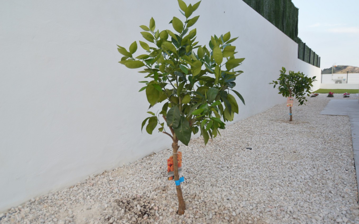 Obra Nueva - Villa - Finestrat