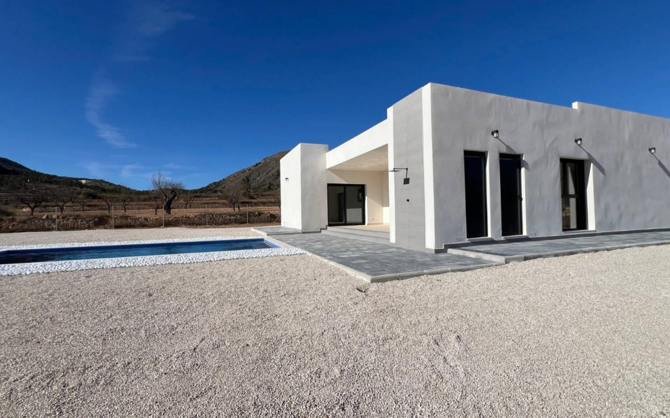 Obra Nueva - Villa - Jumilla - Torre del Rico