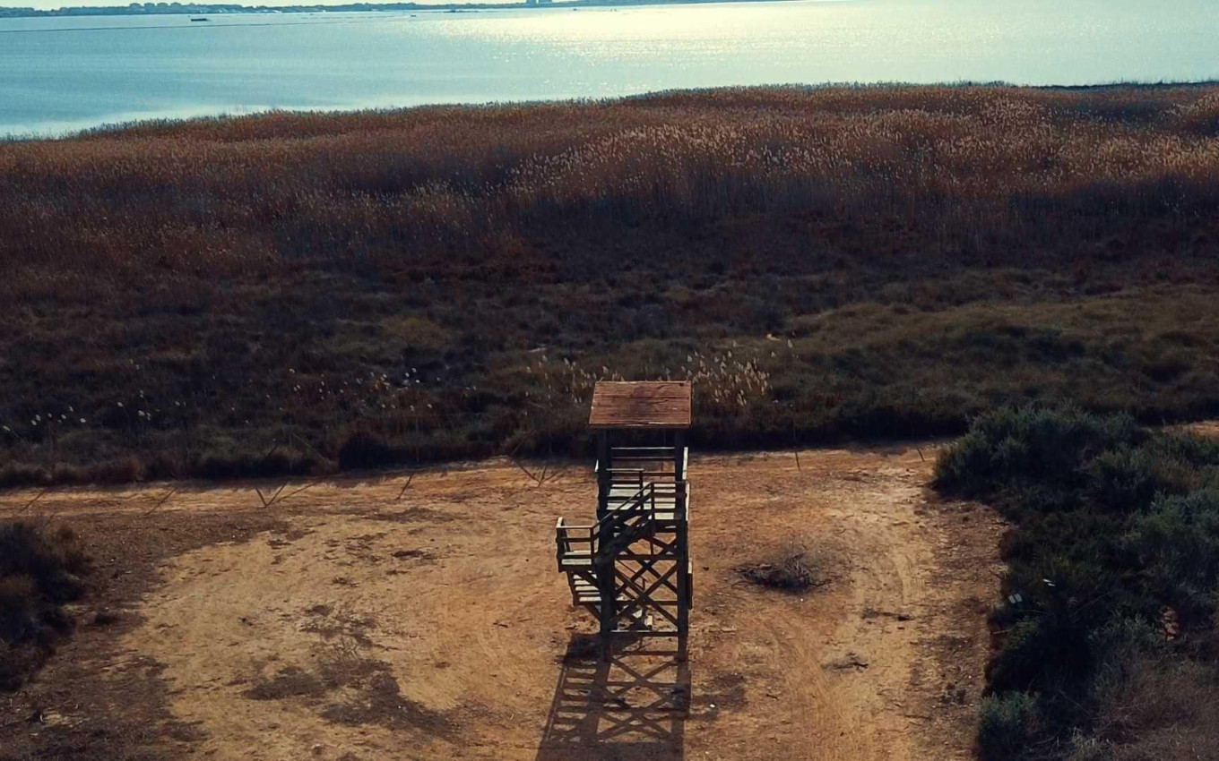 Obra Nueva - Villa - Los Montesinos - La herrada