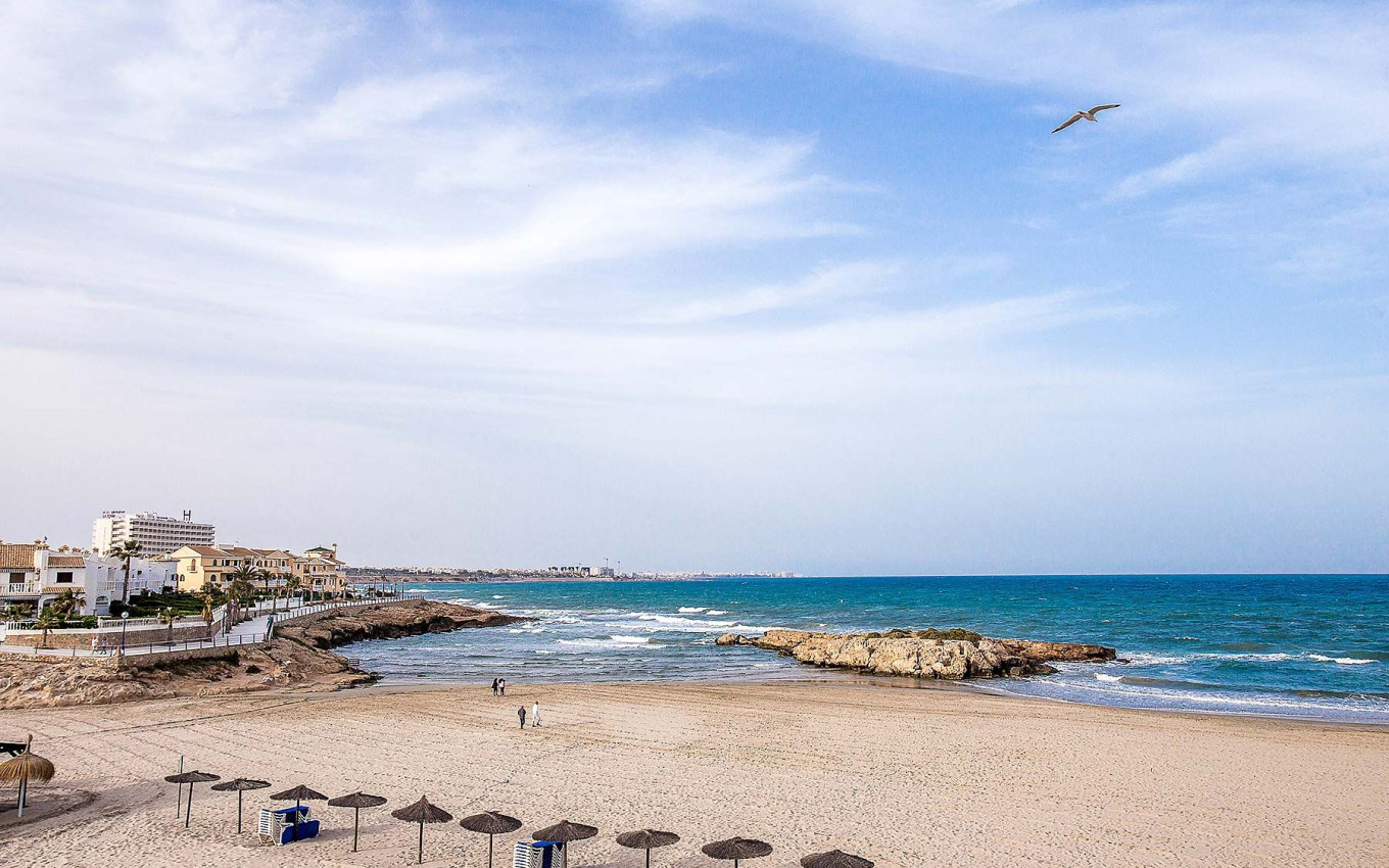 Obra Nueva - Villa - Orihuela Costa - La Zenia