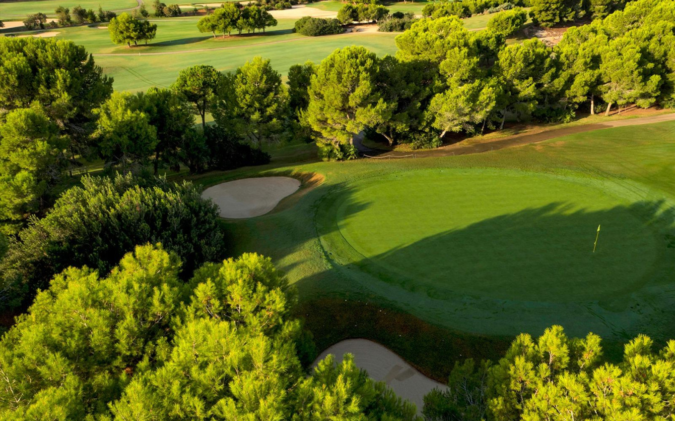 Obra Nueva - Villa - Pilar de la Horadada - Lo Romero Golf