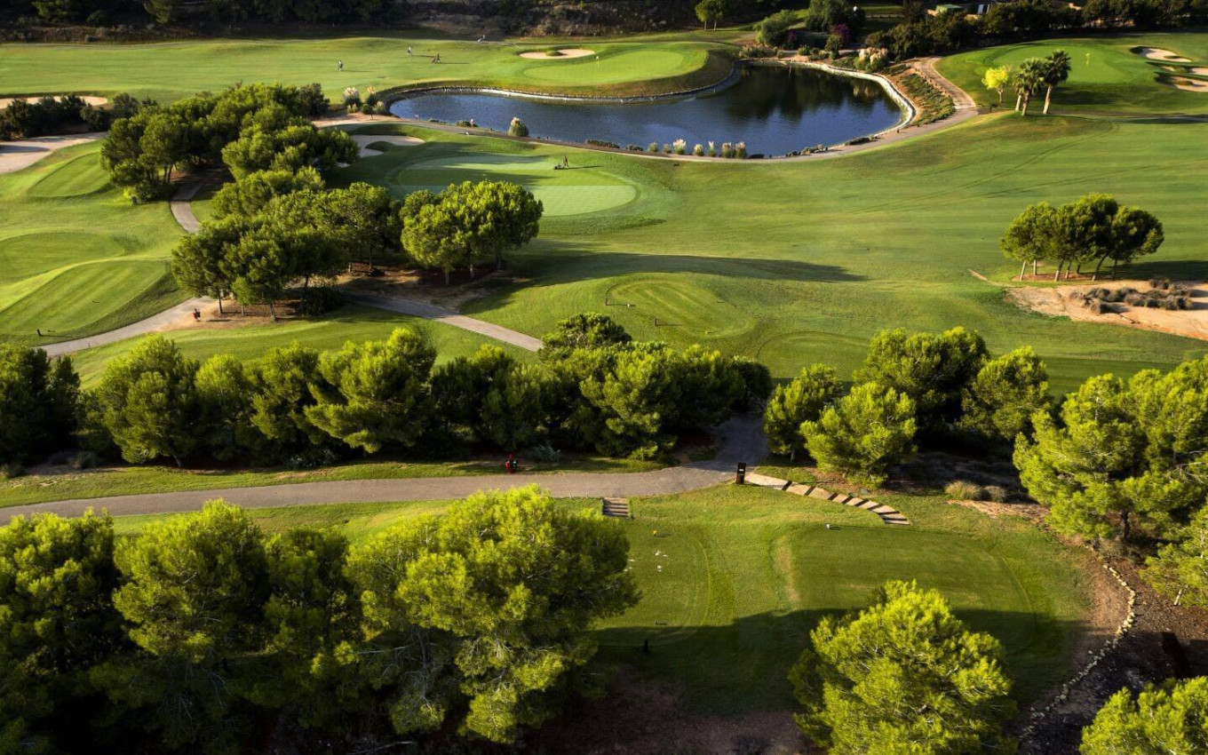 Obra Nueva - Villa - Pilar de la Horadada - Lo Romero Golf