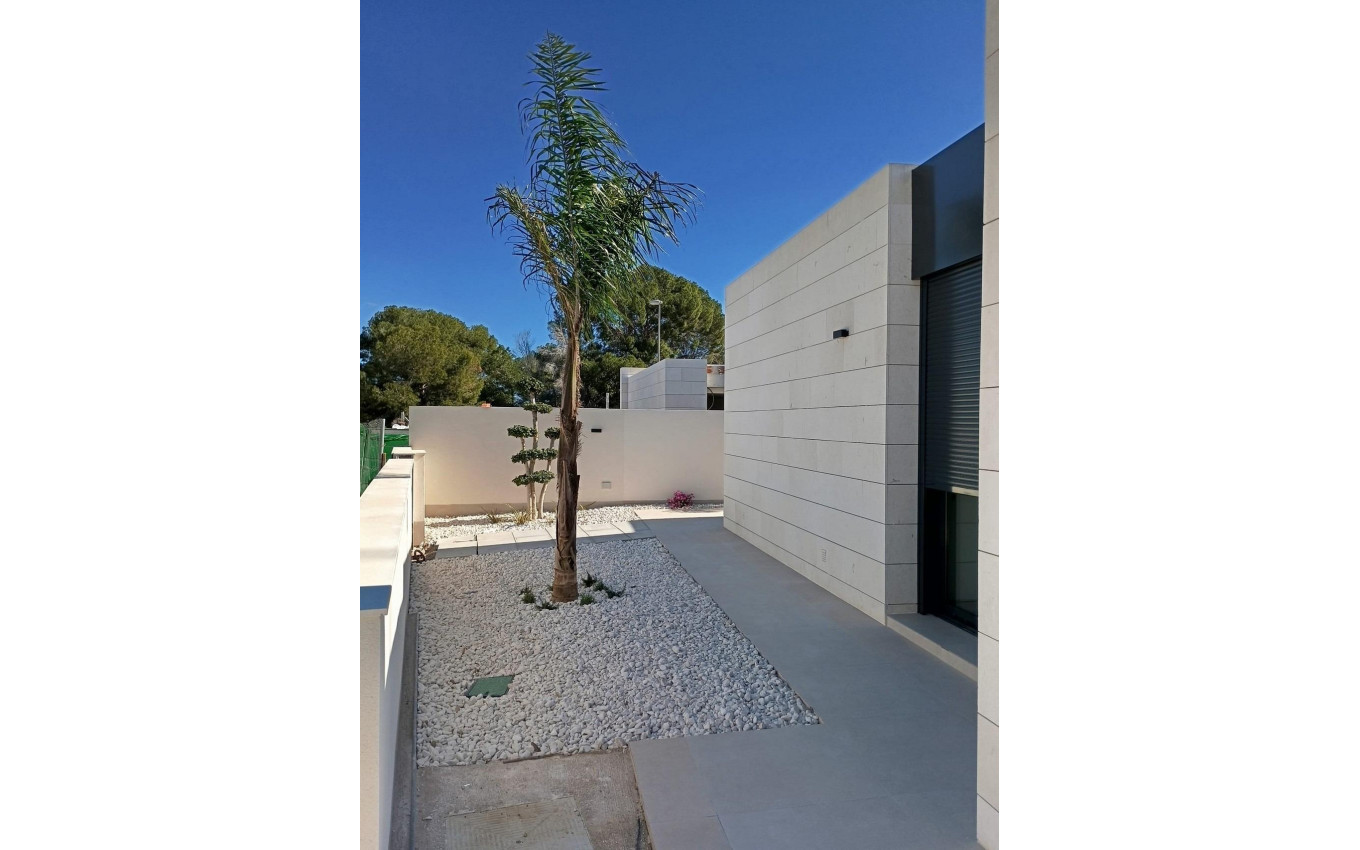 Obra Nueva - Villa - Pilar de la Horadada - Roda Golf