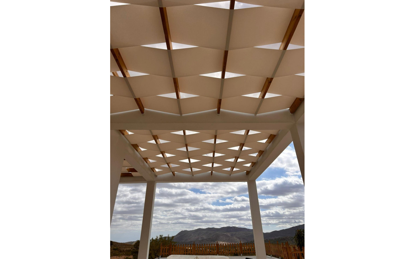 Obra Nueva - Villa - Pinoso - Casas Pastor