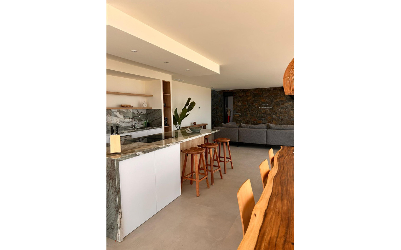 Obra Nueva - Villa - Pinoso - Casas Pastor