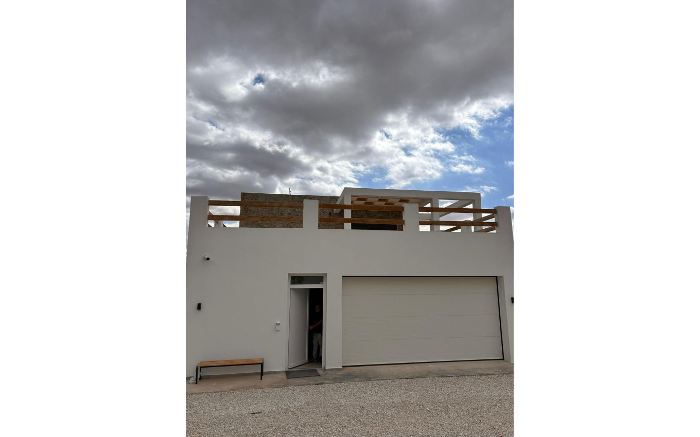 Obra Nueva - Villa - Pinoso - Casas Pastor