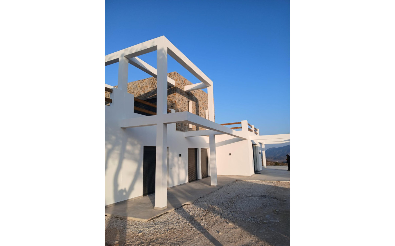 Obra Nueva - Villa - Pinoso - Casas Pastor