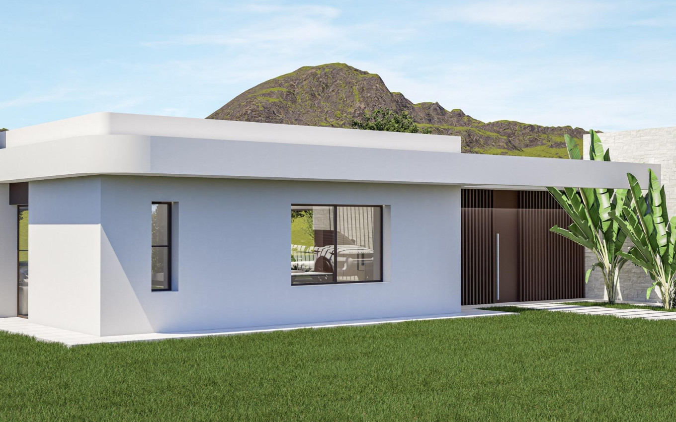 Obra Nueva - Villa - Pinoso - Lel