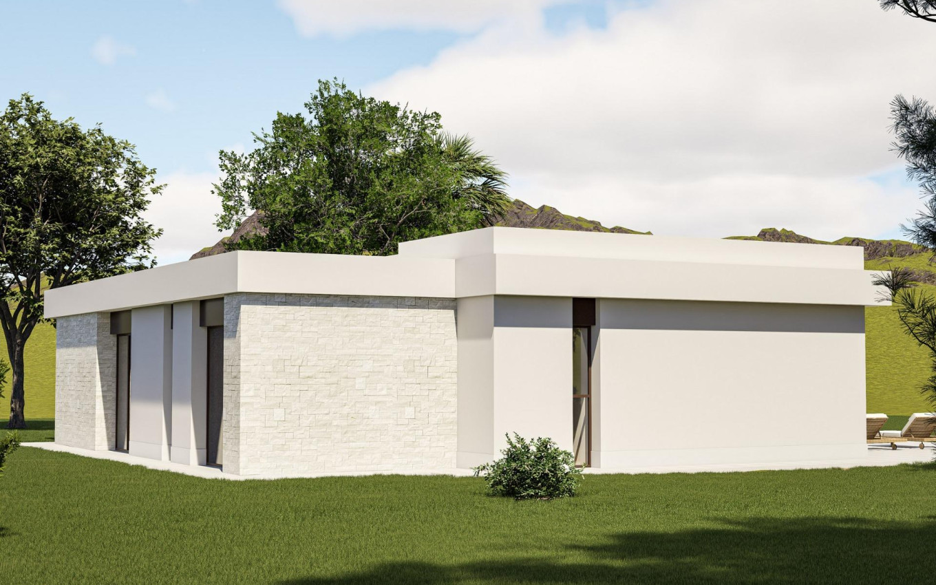 Obra Nueva - Villa - Pinoso - Lel
