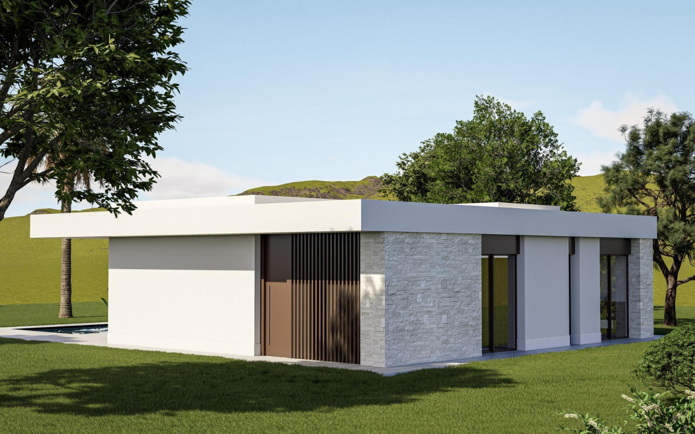 Obra Nueva - Villa - Pinoso - Lel