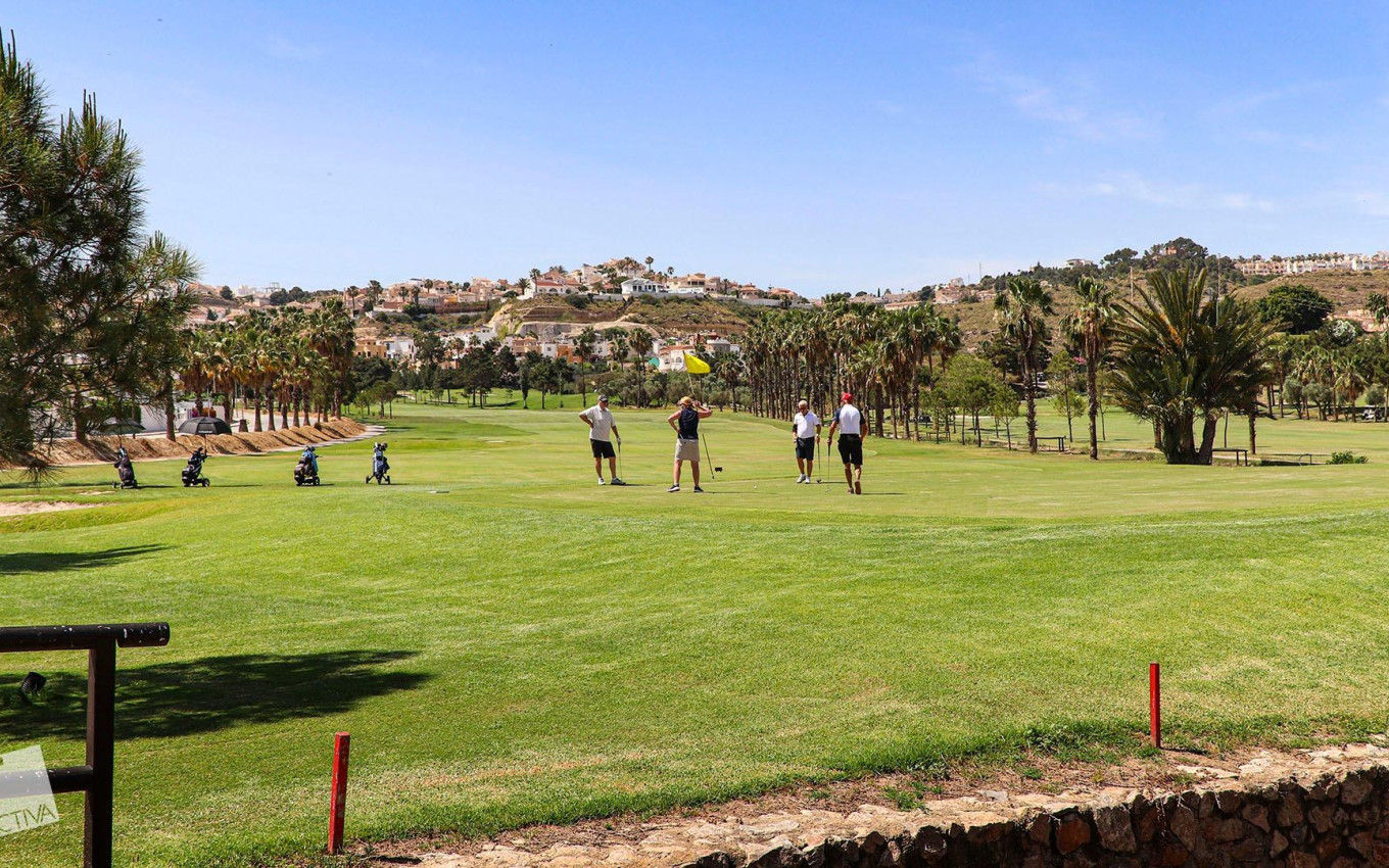 Obra Nueva - Villa - Rojales - Ciudad Quesada