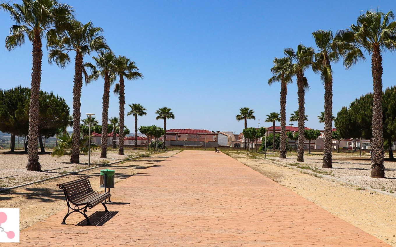 Obra Nueva - Villa - San Fulgencio - La Escuera