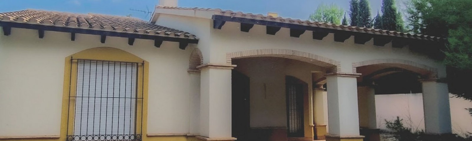 Villa - Nieuwbouw - Fuente alamo de Murcia - LAS PALAS