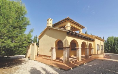 Villa - Obra Nueva - Fuente alamo de Murcia - LAS PALAS